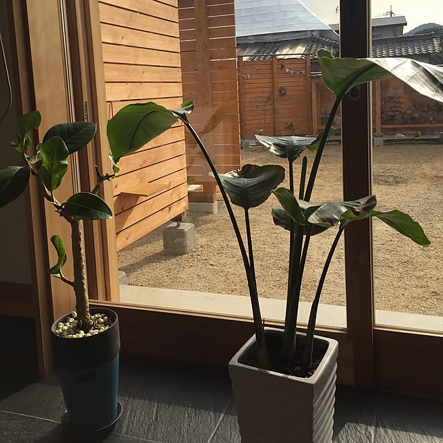 chieさんの実例写真