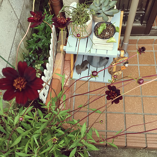 mimichankさんの実例写真