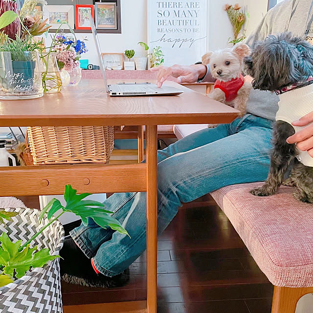 risaさんの実例写真