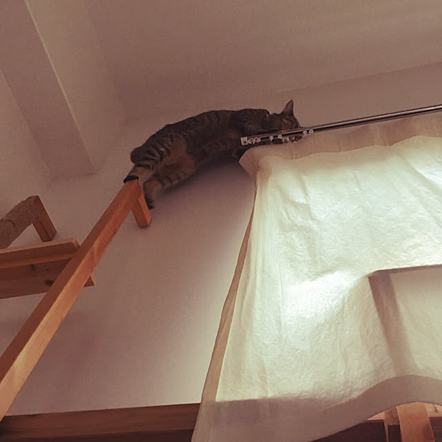 Mさんの実例写真