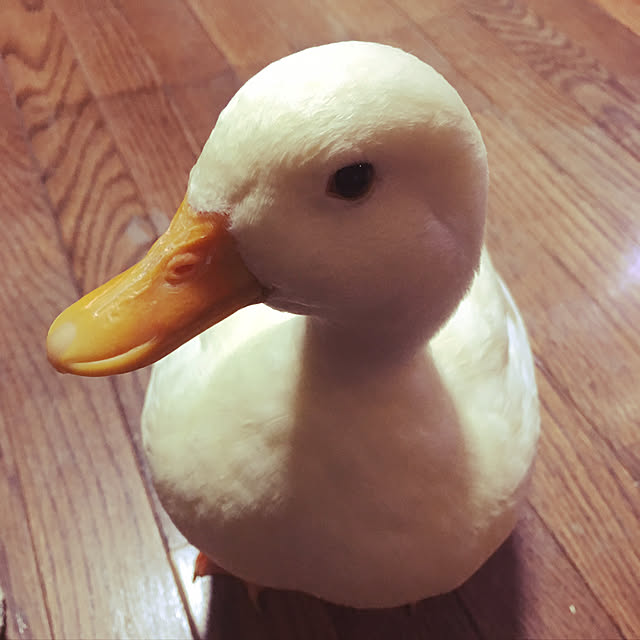 rby88さんの実例写真