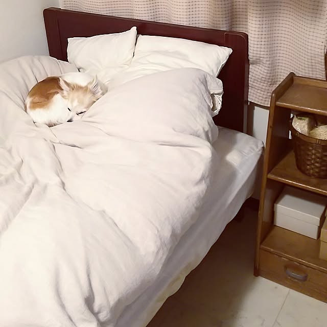 nonさんの実例写真