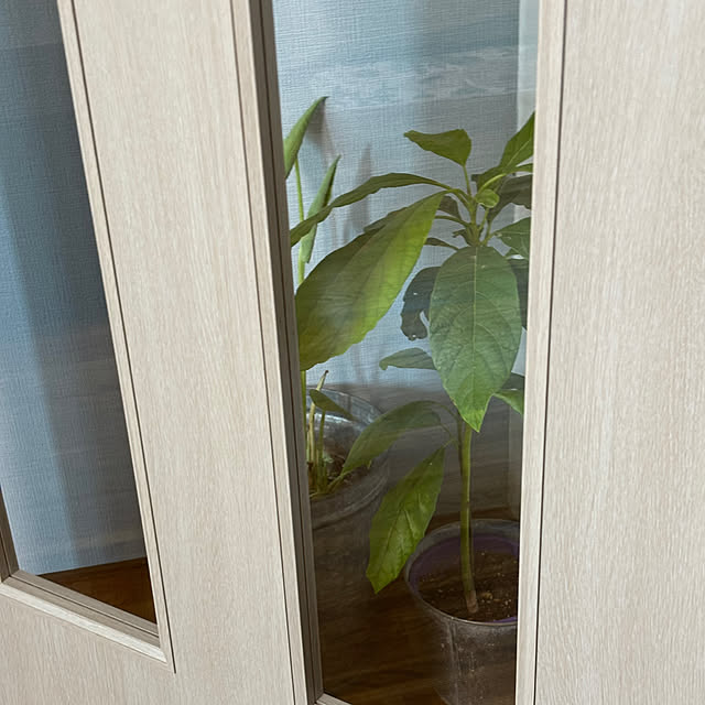 syutmmさんの部屋