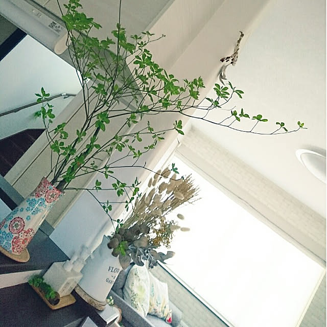 tata-kukuさんの実例写真