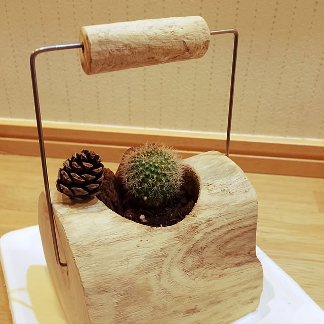 RYUBOKKURIさんの実例写真