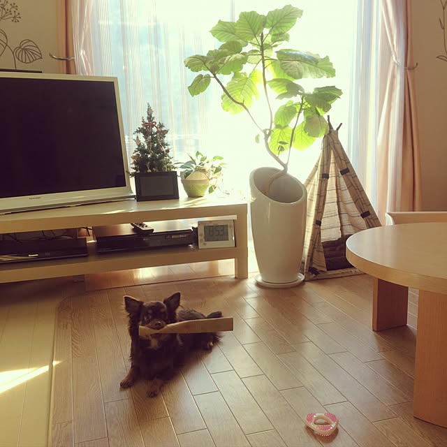 miyuさんの実例写真