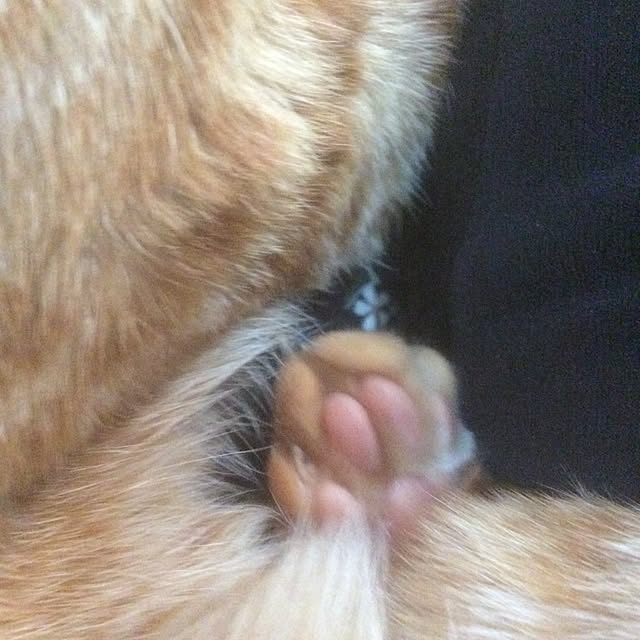 Tomokoさんの実例写真