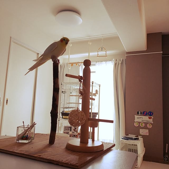 toratanさんの実例写真