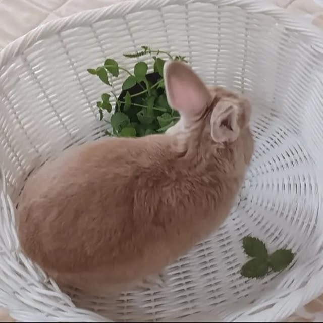 aiさんの部屋