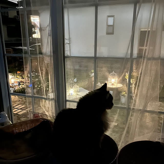 mayumiさんの部屋