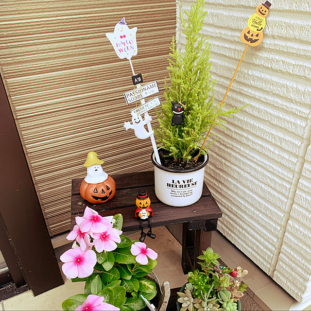 mi__5さんの実例写真