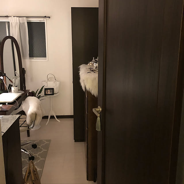 Satomiさんの実例写真