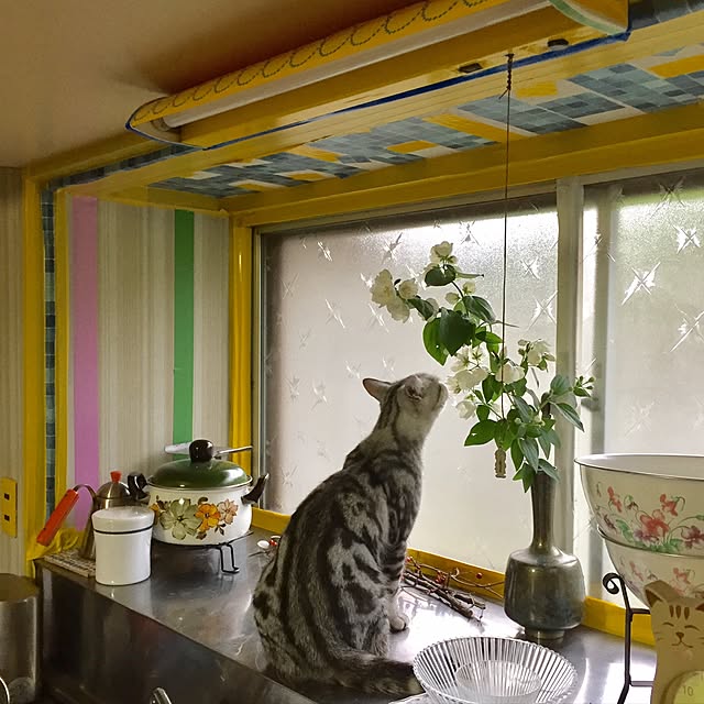 tanutanさんの実例写真