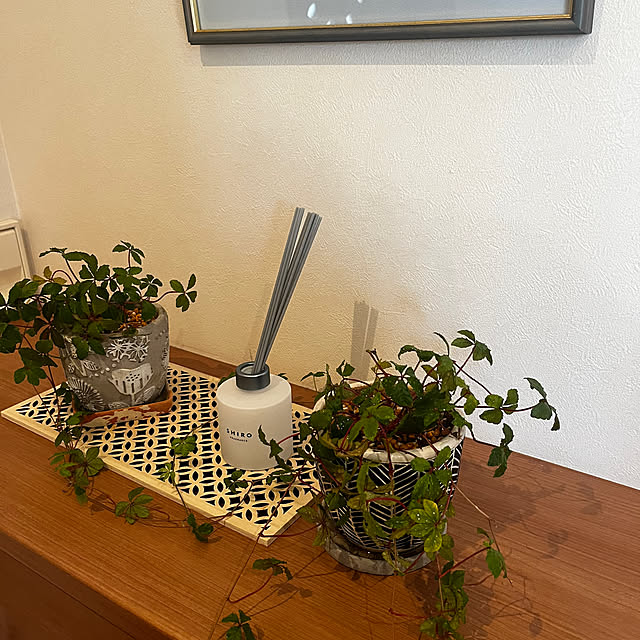 rinrinさんの実例写真