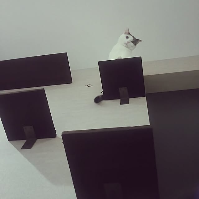 sunnyさんの実例写真