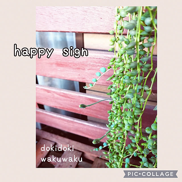 バス/トイレ/笑顔で暮らす♡/癒し*´｀*/今年もあと少し…/今年最後の投稿...などのインテリア実例 - 2022-12-29 19:35:57
