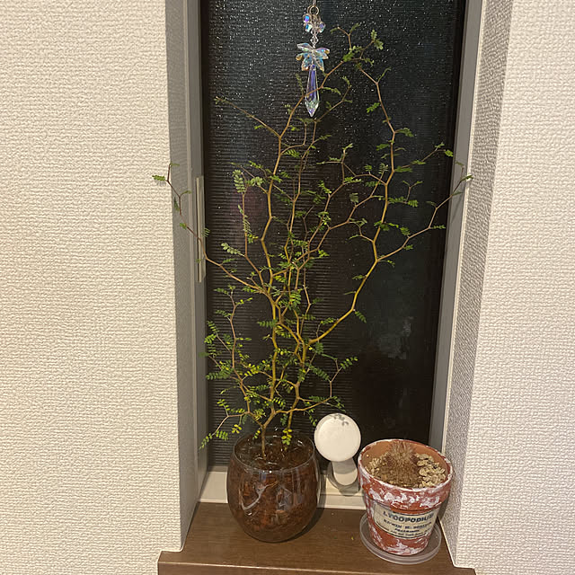 emiさんの実例写真