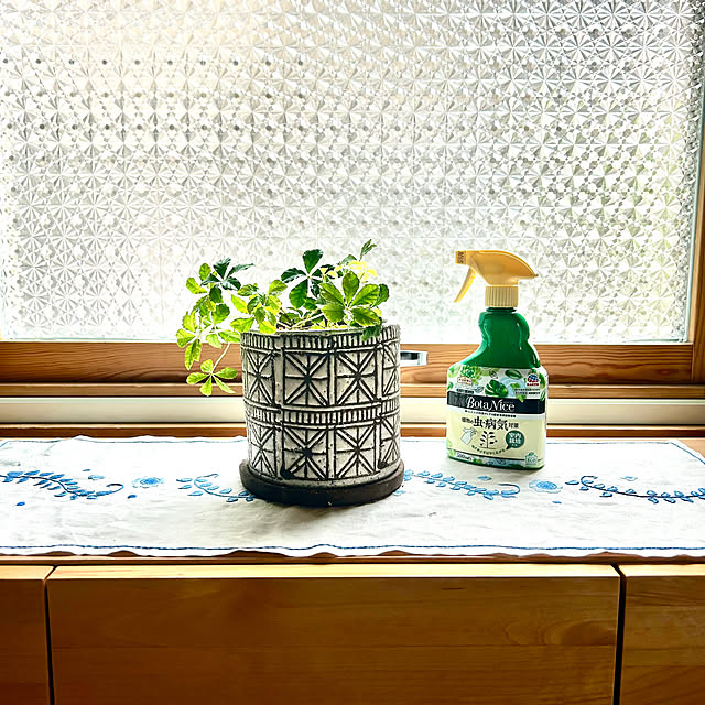 botanさんの実例写真