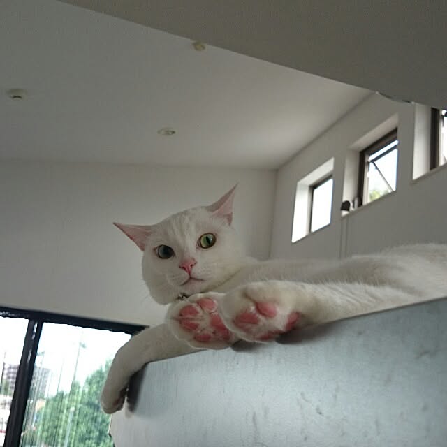 kikinanaさんの実例写真