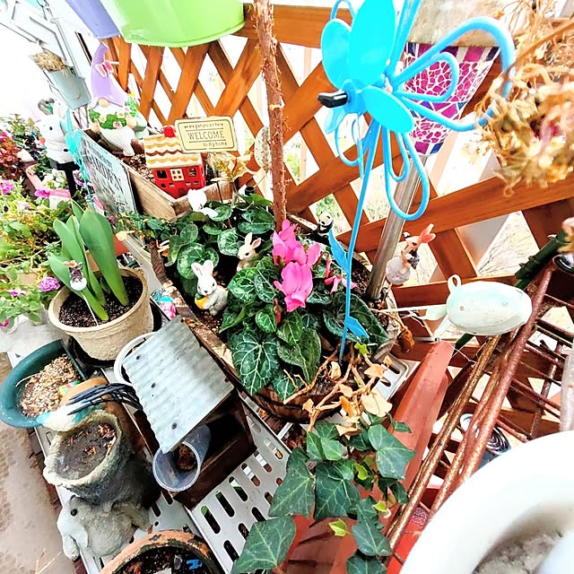 mariaさんの部屋