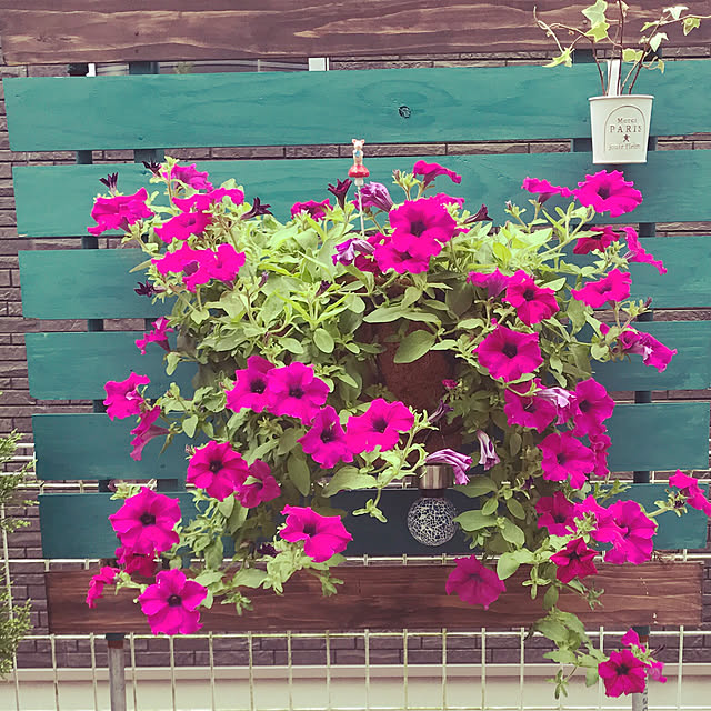 sunflowerさんの実例写真
