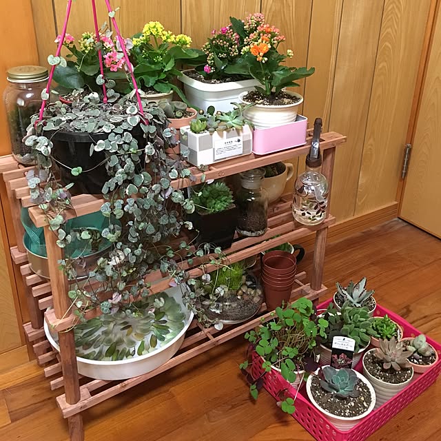 CHIROさんの実例写真