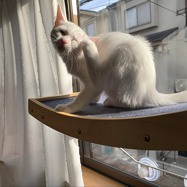 keiさんの実例写真