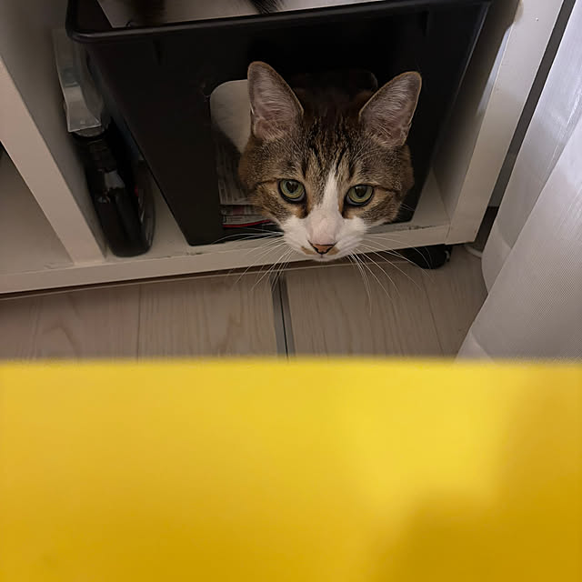 arayanさんの部屋