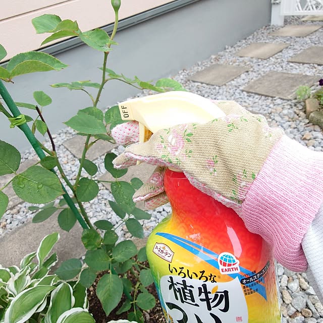 fleur-mamanさんの実例写真