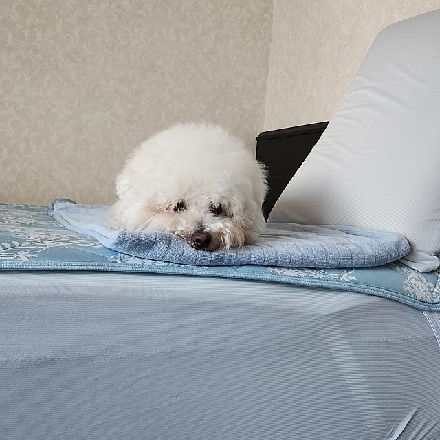 takoさんの実例写真