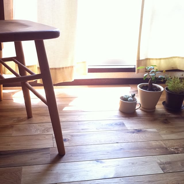 mikkoさんの実例写真