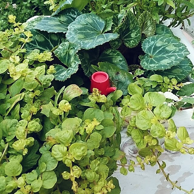 bitsさんの実例写真