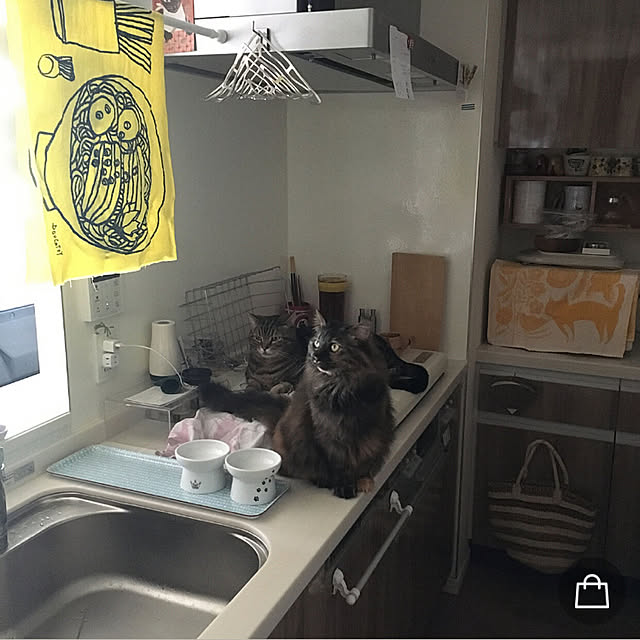 mikomaruさんの実例写真