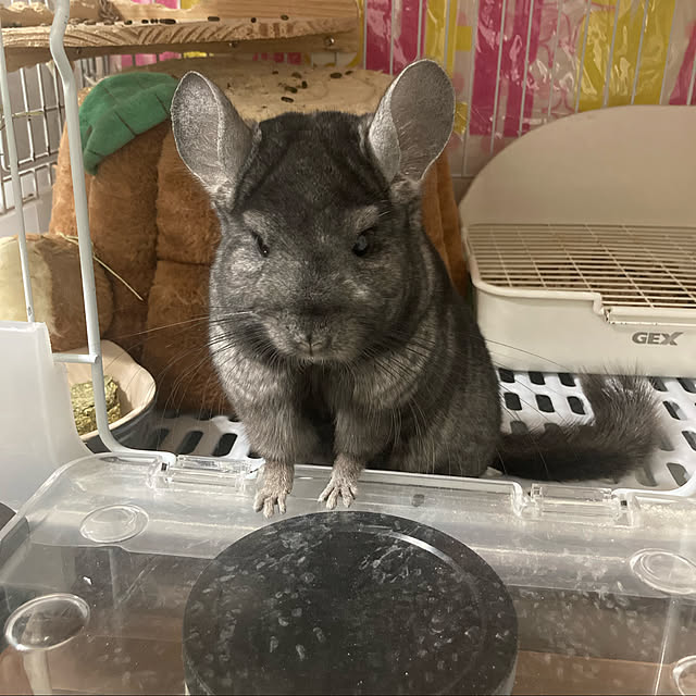 milkさんの実例写真