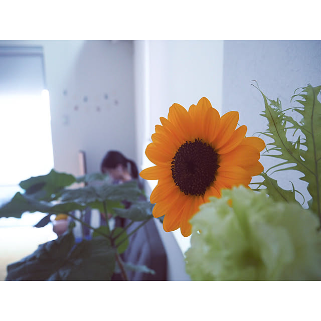 mimiedenさんの実例写真