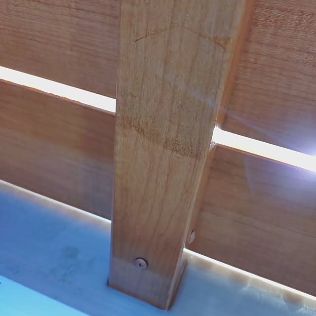 urchinさんの部屋