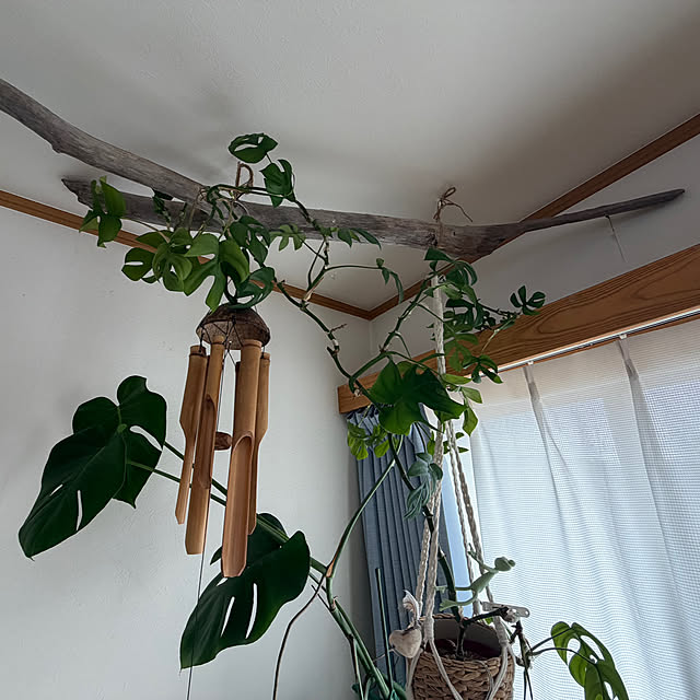 alohaさんの部屋