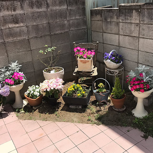 marikoさんの実例写真