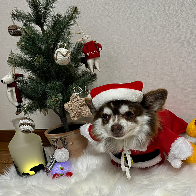 chIoeさんの実例写真