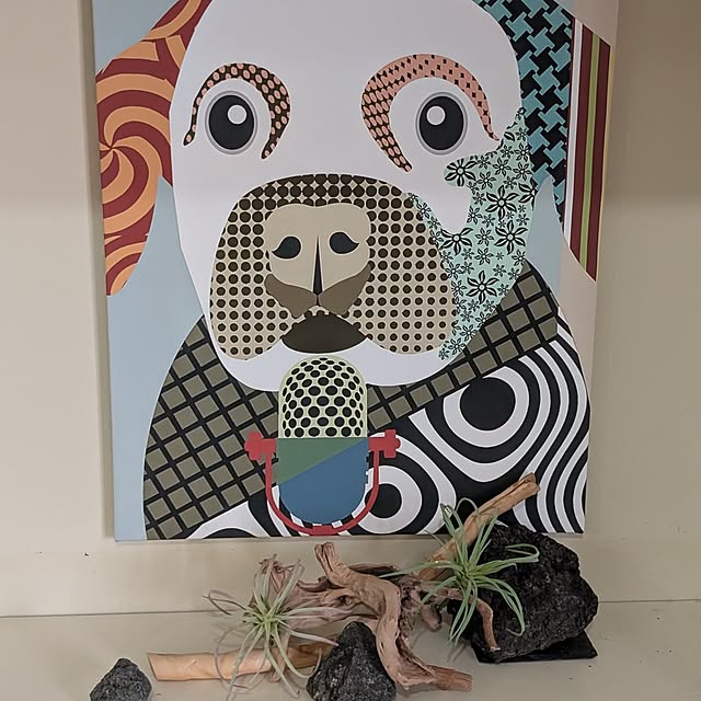 kuroさんの実例写真