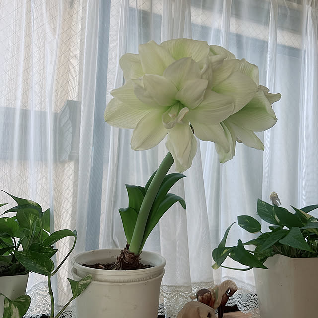 akoさんの部屋