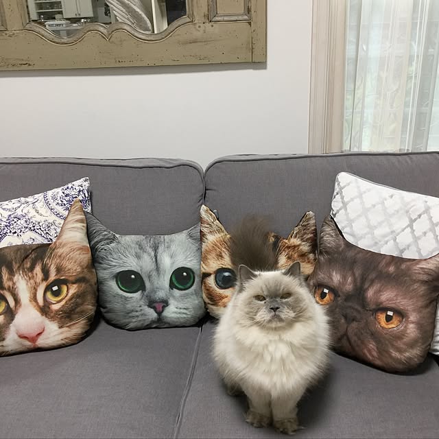 yuchiさんの実例写真