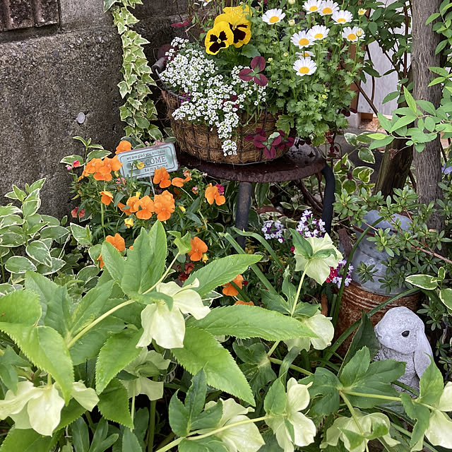 min_nimさんの実例写真