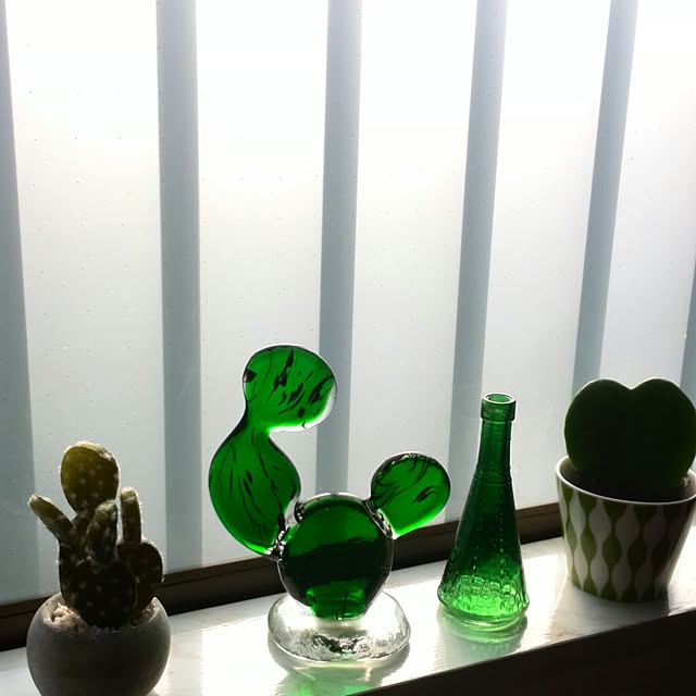 Renさんの実例写真