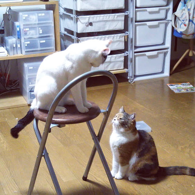 yukieさんの実例写真