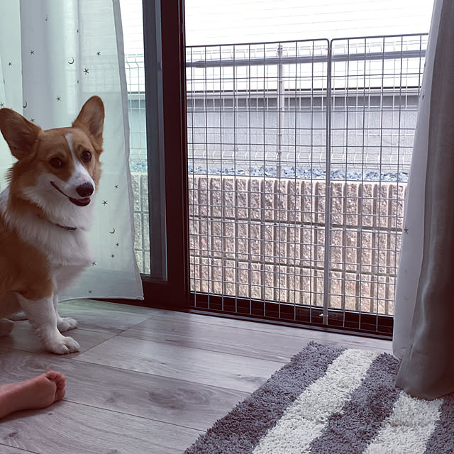 3ayuさんの実例写真