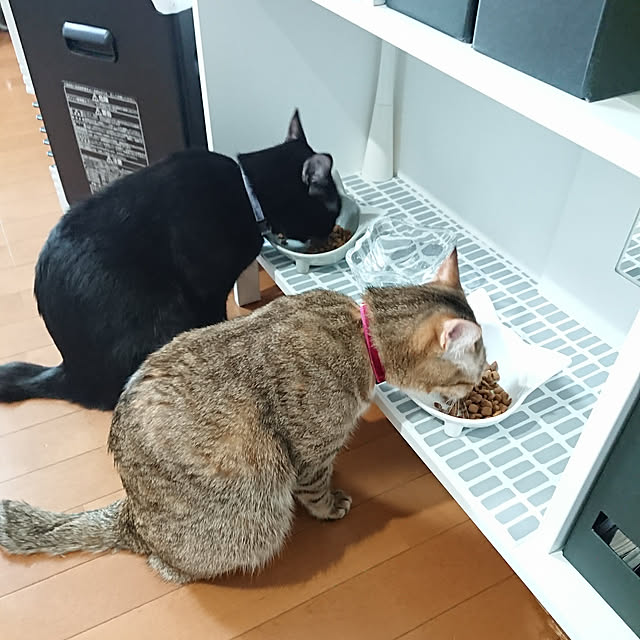 maikyさんの実例写真