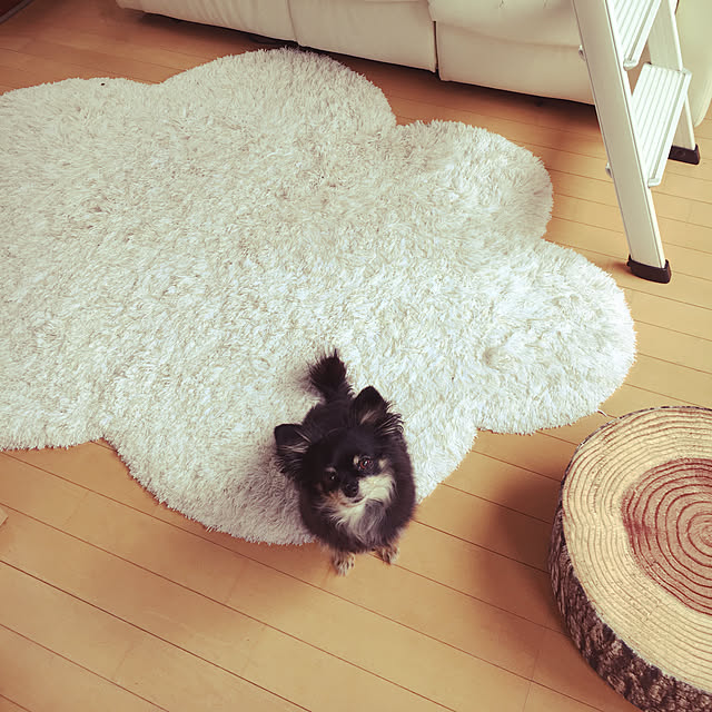 cocoさんの実例写真