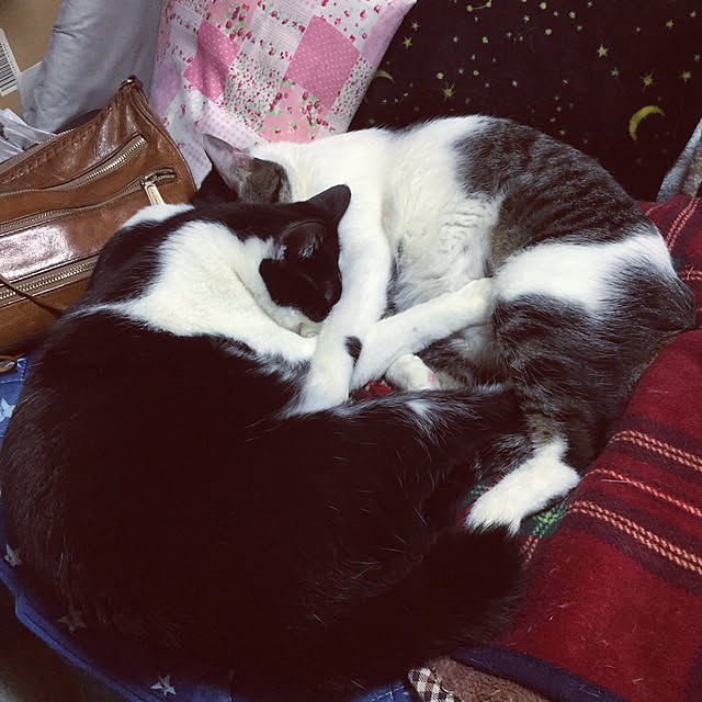 Y.Saさんの実例写真