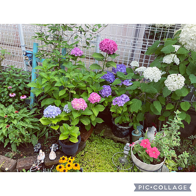 CoCo0617さんの部屋